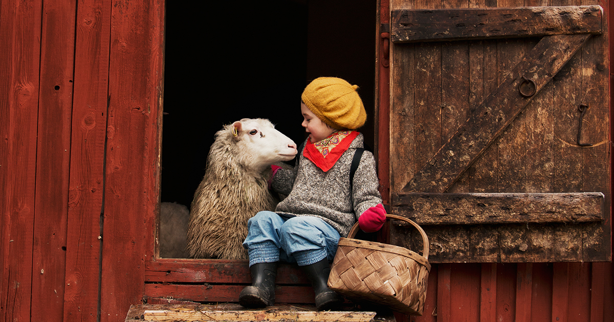 Bild på ett barn som klappar ett får. 